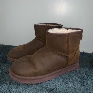 UGG ankle boots